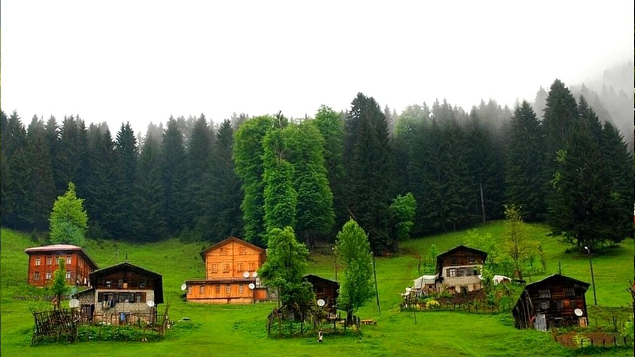 رحلة ايدر طرابزون