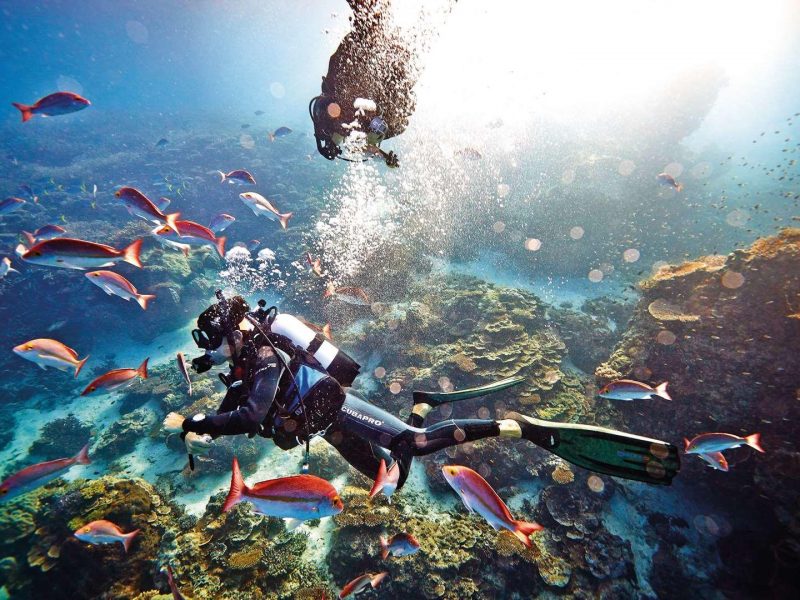رحلة الغوص فتحية Diving Fethiye