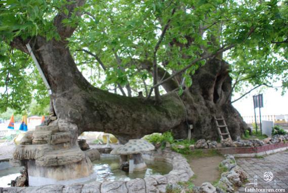 جولة في قرية جوليازي في بورصة تركيا