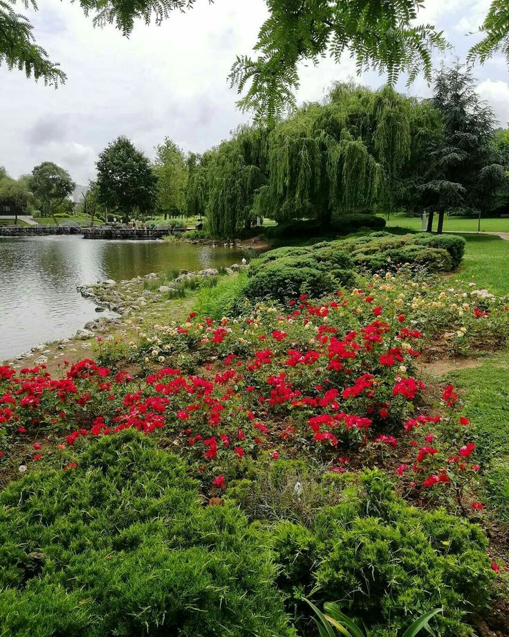 منتزه بحيرة بهشة شهير في اسطنبول